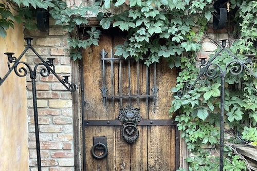 Wooden door in stone wll with green vines growing around