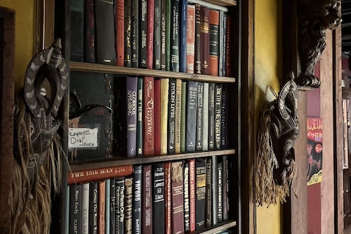 Bookcase full of books